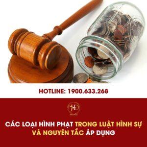 Các loại hình phạt trong luật hình sự và nguyên tắc áp dụng