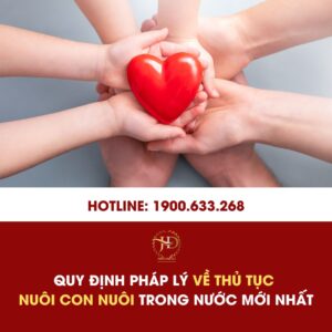 Quy Định Pháp Lý Về Thủ Tục Nuôi Con Nuôi Trong Nước Mới Nhất