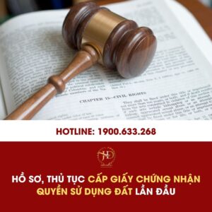 Hồ Sơ, Thủ Tục Cấp Giấy Chứng Nhận Quyền Sử Dụng Đất Lần Đầu: Hướng Dẫn Chi Tiết