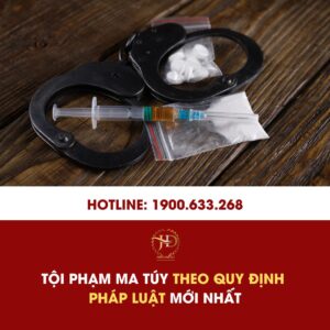 Tội Phạm Ma Túy Theo Quy Định Pháp Luật Mới Nhất