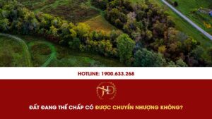 Đất Đang Thế Chấp Có Được Chuyển Nhượng Không?