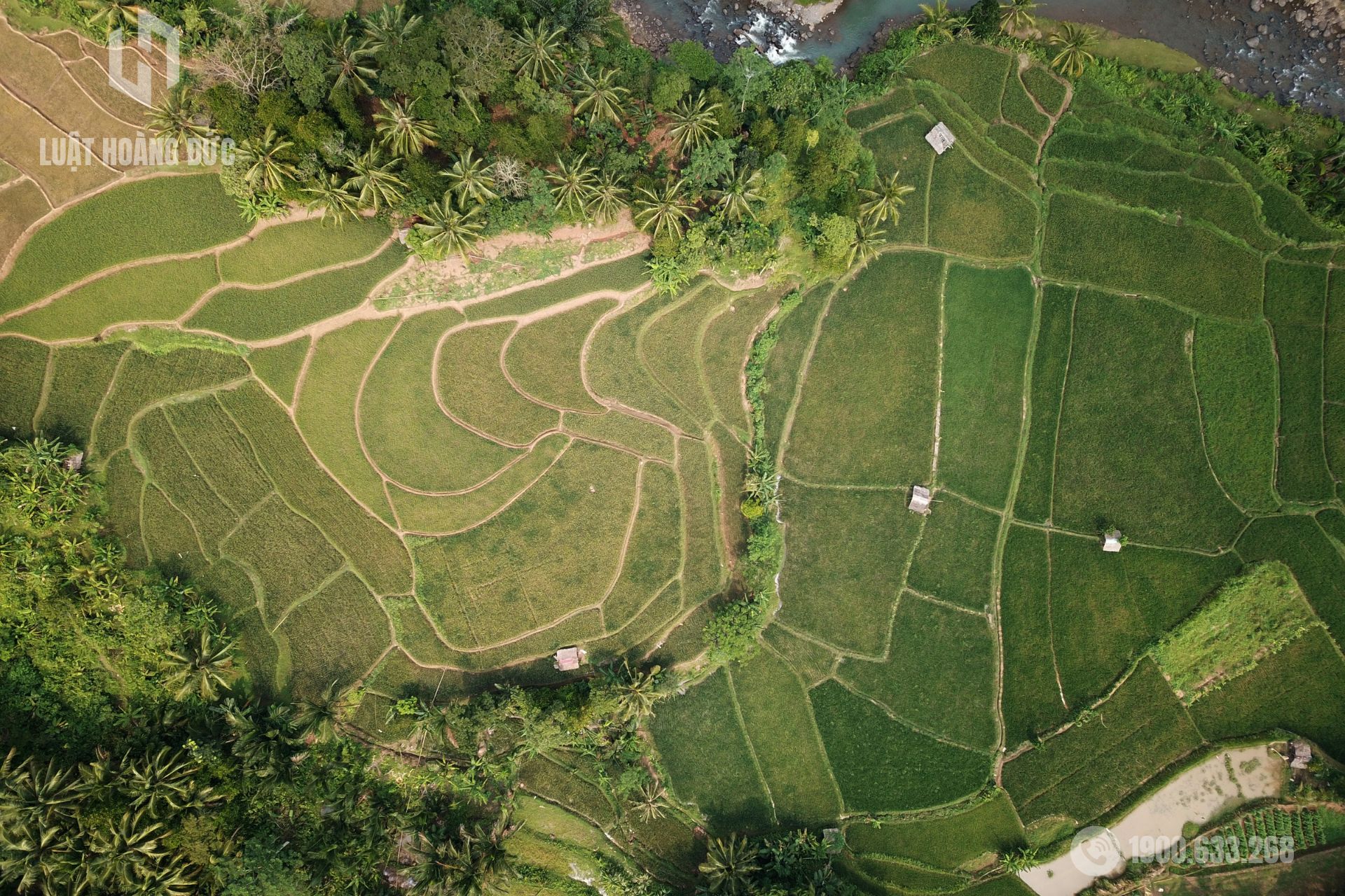 Tranh chấp đất đai
