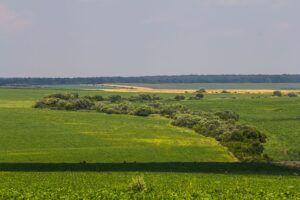 tranh chấp đất đai