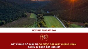 Đất Không Có Giấy Tờ Có Được Cấp Giấy Chứng Nhận Quyền Sử Dụng Đất Không?