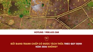 Đất Đang Tranh Chấp Có Được Tách Thửa Theo Quy Định Năm 2026 Không?